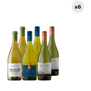 6x Vinos Gran Reserva Sauvignon Blanc Variedades 750cc