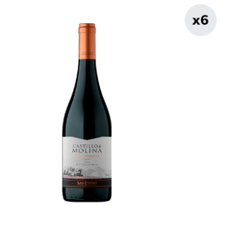 6x Vino Castillo De Molina Syrah 750cc