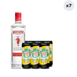 Pack Gin Beefeater London Dry 40° 750cc + 6x Agua Tónica Canada Dry Zero Lata 310cc