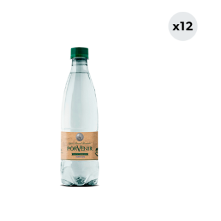 12x Agua Mineral Porvenir Con Gas 500cc