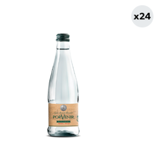 24x Agua Mineral Porvenir Sin Gas 330cc